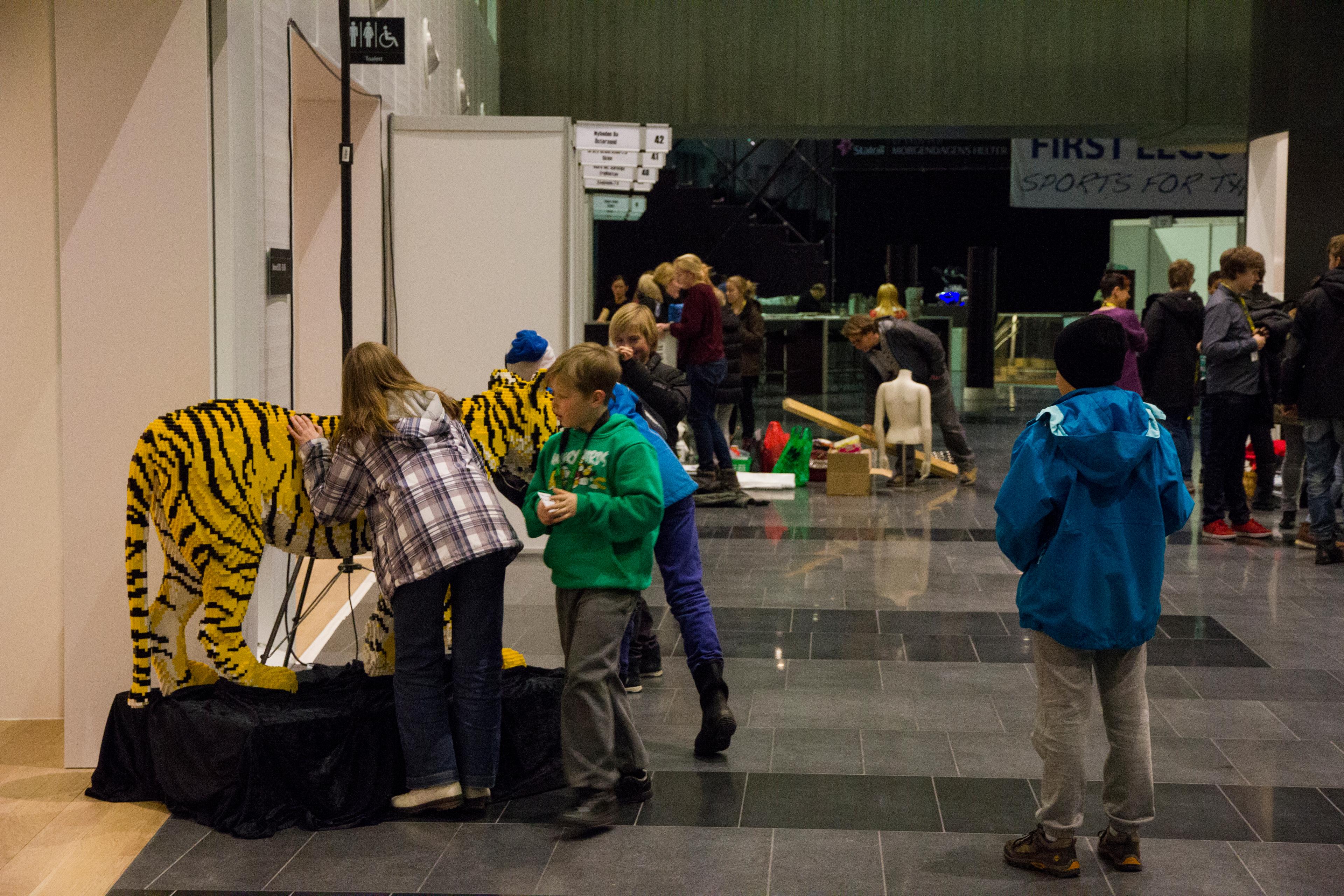 fll 12